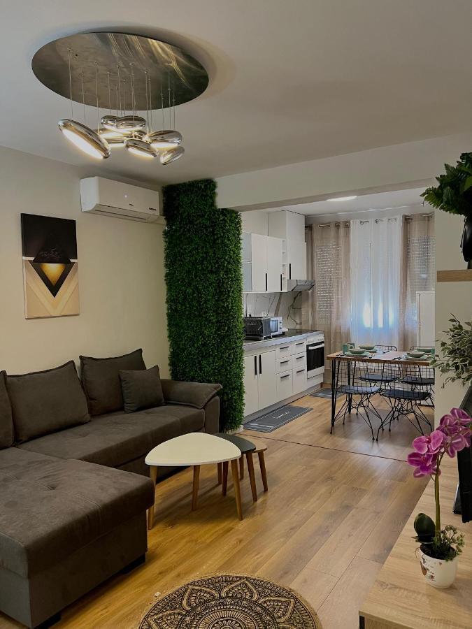 Pine Apartment Tirana Zewnętrze zdjęcie